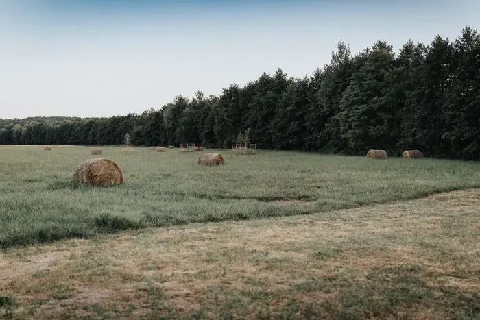 Az őrségi rét szénabálákkal, a ház mögött